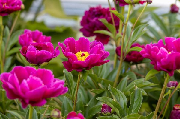 Quels sont les meilleurs moyens de réduire son empreinte carbone au quotidien ?